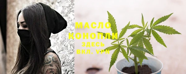 стаф Нея