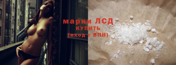 стаф Нея
