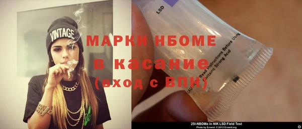 стаф Нея