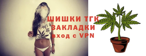 стаф Нея