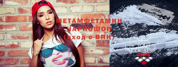 крисы Новодвинск