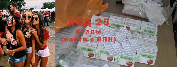 крисы Новодвинск