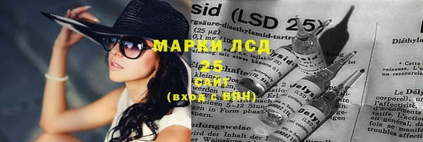 крисы Новодвинск