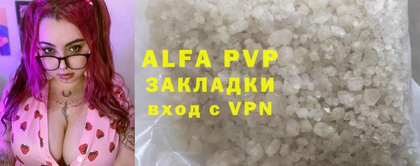 крисы Новодвинск