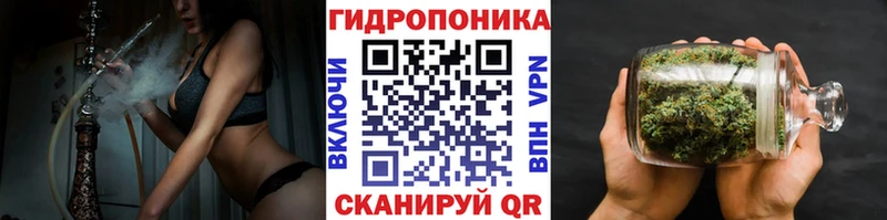 где найти   Серафимович  Каннабис гибрид 